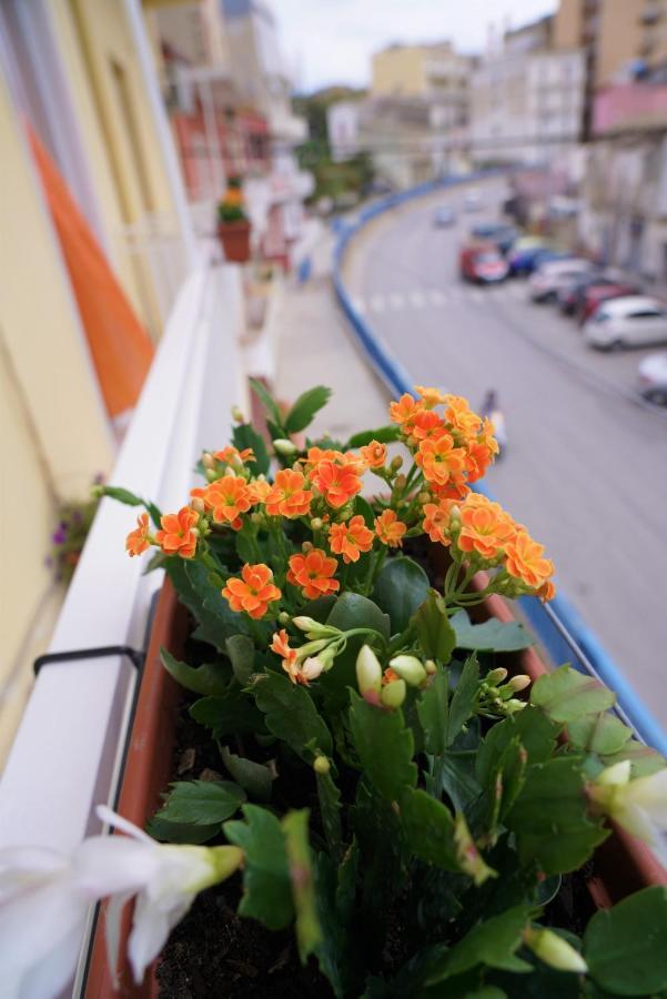 Nodo Francescano Bed & Breakfast *